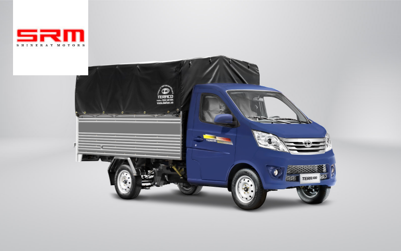 chọn Tera 100 khi cần xe nhỏ gọn, dễ luồn lách và tải trọng 990 kg phù hợp nhu cầu.
